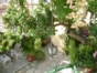 Inside patio view