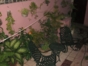 Inside patio view