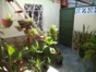 Inside patio view