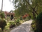 Patio-garden view