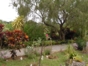 Inside patio view