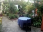 Inside patio view