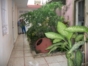 Panoramic house View
