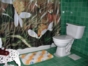 Bathroom's view