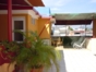 House terrace view