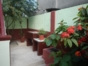 Inside patio view