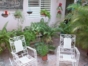 House terrace view