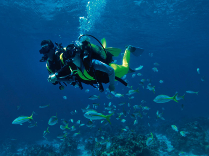 "Diving in Albacora Dive Center" Marea del Portillo Tour
