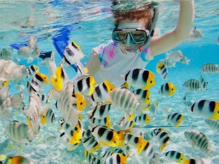 Snorkeling in the coral reff in Santa Lucia