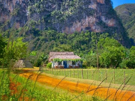 “Habana - Viñales 1” Tour (Private one day tour)