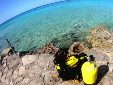"Diving in Playa Larga-Playa Girón"
