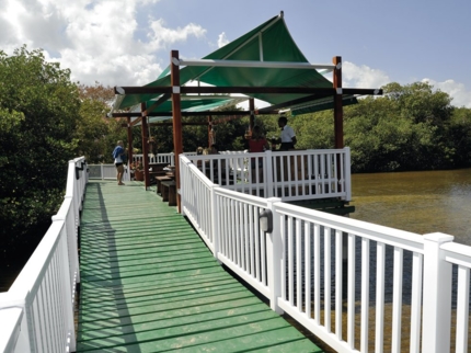 Bar La Laguna
