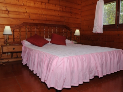 Superior Suite Room