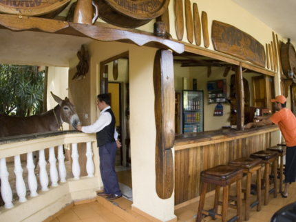 Bar El Burro