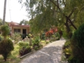 Patio-garden view