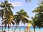 Panoramic beach view